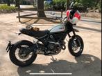 Scrambler 800 met Termignoni race/ 5700 km!!, Motoren, Motoren | Ducati, 2 cilinders, Particulier, Meer dan 35 kW, 800 cc