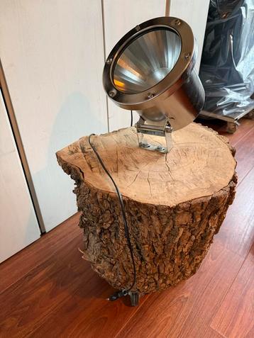 Unieke Bega Spot op Boomstam met Wieltjes beschikbaar voor biedingen