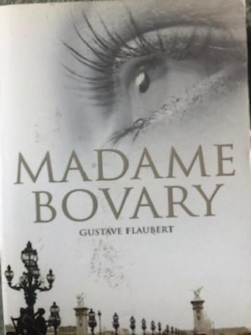 Gustave Flaubert, Madame Bovary beschikbaar voor biedingen