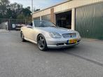 Mercedes-Benz SLK 3.2 Slk320 Roadster AUT 2001 Grijs, Automaat, 65 €/maand, Zwart, Cabriolet