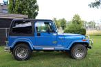 Jeep Wrangler 2.5 Cabrio Hardtop LEUKE AUTO! (bj 1991), Auto's, Overige merken, Cabriolet, Blauw, Bedrijf