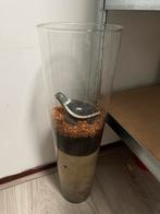 Decoratieve Vaas met Schildpad, Huis en Inrichting, Woonaccessoires | Vazen, Ophalen, Overige kleuren, Minder dan 50 cm, Glas