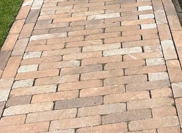 Gezocht dikformaat klinkers Tambour Veluws Bont 21x7x7 beschikbaar voor biedingen