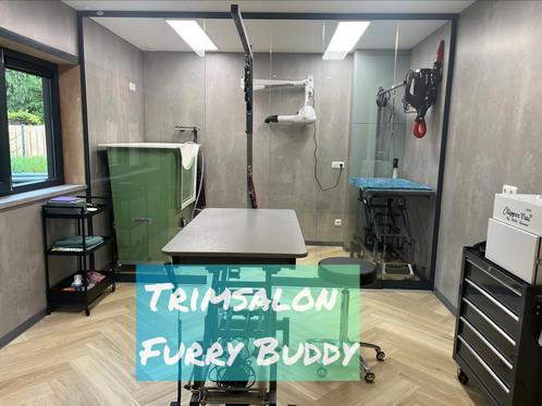 Trimsalon Furry Buddy – verzorging voor katten & honden, Diensten en Vakmensen, Dieren | Overige | Verzorging, Oppas en Les, Verzorging