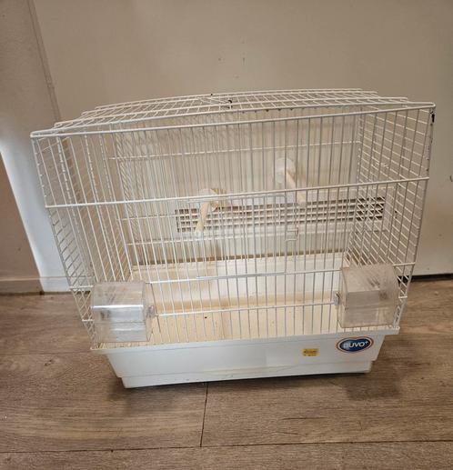 Vogelkooi met toebehoren, Dieren en Toebehoren, Vogels | Hokken en Kooien, Zo goed als nieuw, Vogelkooi, Metaal, Ophalen