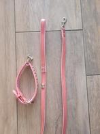 Halsband en bijpassende lijn, Ophalen of Verzenden, Nieuw
