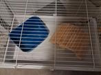 Konijnen hok met heel veel nieuwe spullen, Dieren en Toebehoren, Ophalen, Zo goed als nieuw, Hok, Minder dan 60 cm