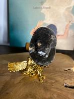 Septarie ei groot unieke edelsteen zeldzaam met standaard, Ophalen of Verzenden, Nieuw