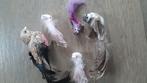 Kerst vogeltjes kerstboom, Ophalen of Verzenden, Zo goed als nieuw