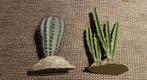 2 mooie cactussen voor in een woestijn terrarium., Ophalen of Verzenden