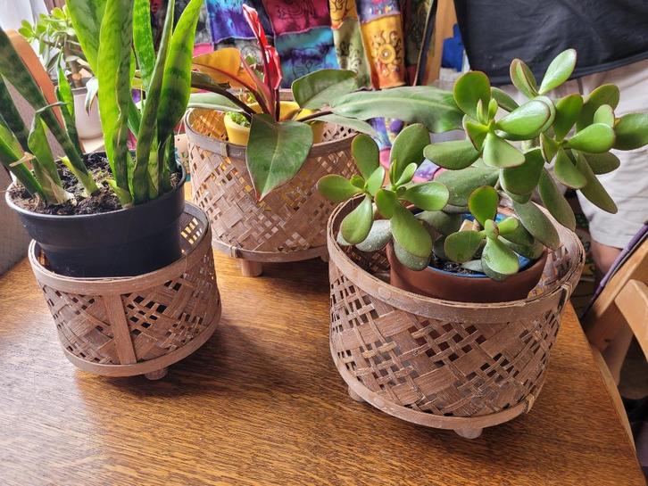 3 mooie manden, in verschillende maten., Tuin en Terras, Bloembakken en Plantenbakken, Zo goed als nieuw, Hout, Binnen, Minder dan 30 cm