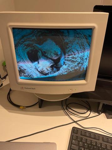 Packard Bell VGA CRT Kleurenmonitor beschikbaar voor biedingen