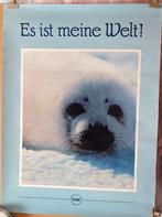 Zeehond IFAW "Es is meine Welt !", Rechthoekig Staand, Ophalen of Verzenden, Zo goed als nieuw, A1 t/m A3