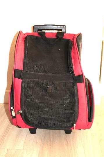 Rugdrager ("rugzak") voor een hondje met extra heupriem beschikbaar voor biedingen