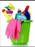 Betrouwbare Schoonmaakster omgeving Berkel Rodenrijs, Huis en Inrichting, Ophalen of Verzenden, Overige typen