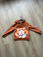 AH hamstertrui, Ophalen of Verzenden, Zo goed als nieuw, Jongen of Meisje, Trui of Vest