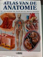 Atlas van de anatomie, Ophalen of Verzenden, Zo goed als nieuw