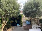 Planten, Ophalen, Zomer, Vaste plant, Overige soorten
