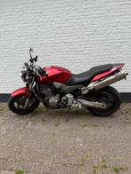 Honda CB900 F Hornet 2006, Motoren, 4 cilinders, Bedrijf, Meer dan 35 kW, 919 cc