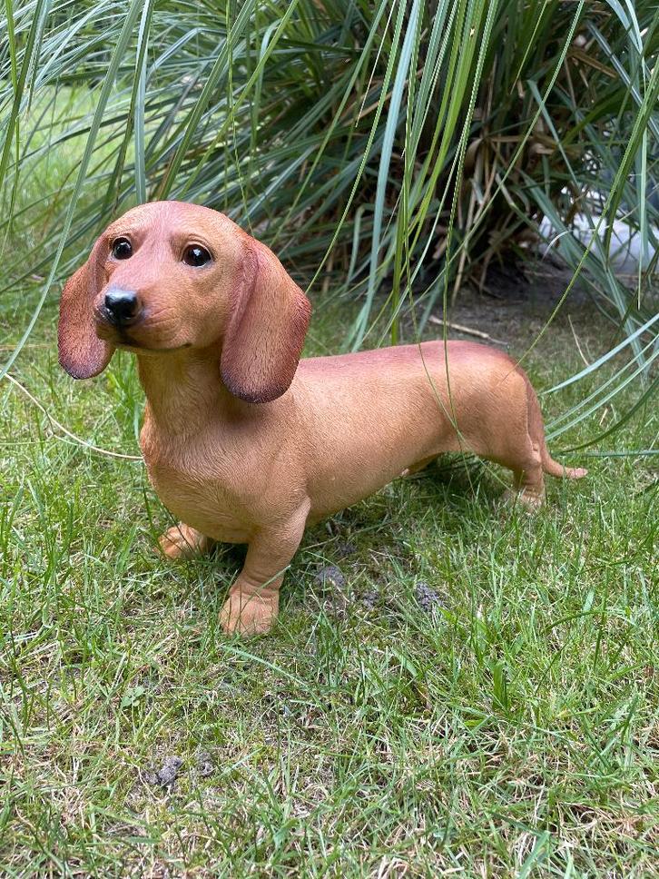 Tuin)Beeld teckel, tekkel, hond, tuin, gazon 40 cm, Tuin en Terras, Tuinbeelden, Nieuw, Dierenbeeld, Kunststof, Ophalen