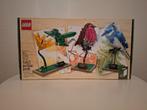 LEGO Ideas – Birds – 21301, Kinderen en Baby's, Speelgoed | Duplo en Lego, Ophalen of Verzenden, Nieuw, Complete set, Lego