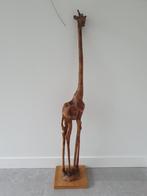 Grote houten giraf, Antiek en Kunst, Kunst | Beelden en Houtsnijwerken, Ophalen