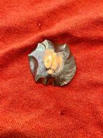 zilver sierraden, Ophalen of Verzenden, Zilver