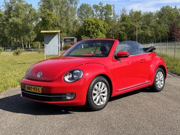Volkswagen Beetle Cabriolet 1.2 TSI Design BlueMotion | Unie beschikbaar voor biedingen