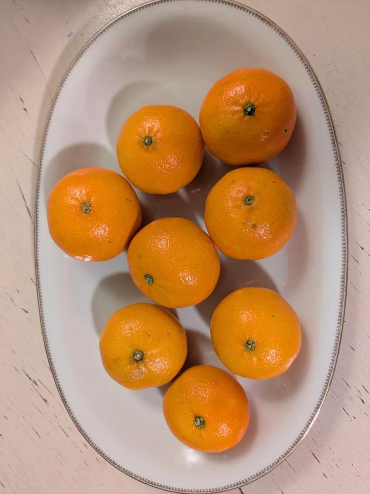 Mooie oude porseleinen schaal, Verzamelen, Porselein, Kristal en Bestek, Gebruikt, Bord of Schaal, Porselein, Ophalen of Verzenden