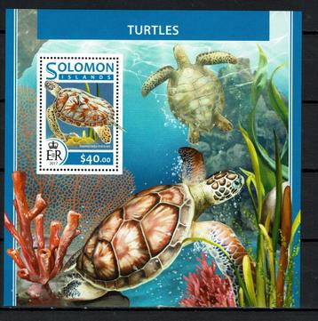solomon 17 pf blok schildpadden reptielen turtles zeeleven 2 beschikbaar voor biedingen