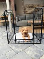 Flamingo honde kennel/bench, Ophalen, Hondenkennel, 65 tot 100 cm, Zo goed als nieuw