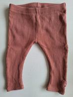 Z8 bruine/donkeroranje legging met strikje - Maat 74, Broekje, Meisje, Z8, Ophalen of Verzenden