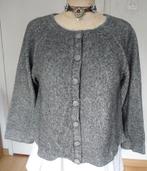 Mooi warm dames vest van High (Use), Maat 38/40 (M), Ophalen of Verzenden, Zo goed als nieuw, High