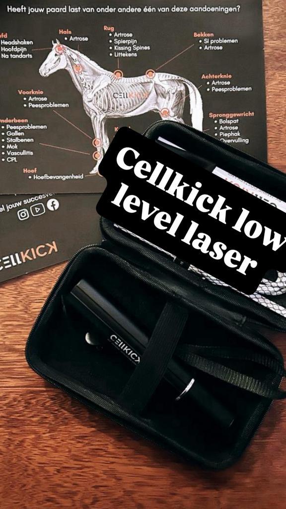 Cell kick low level laser, Dieren en Toebehoren, Paarden en Pony's | Overige Paardenspullen, Zo goed als nieuw, Overige soorten
