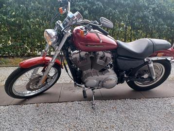 Harley Davidson  XL 883 Custom Sportster -2008 EFI model- beschikbaar voor biedingen