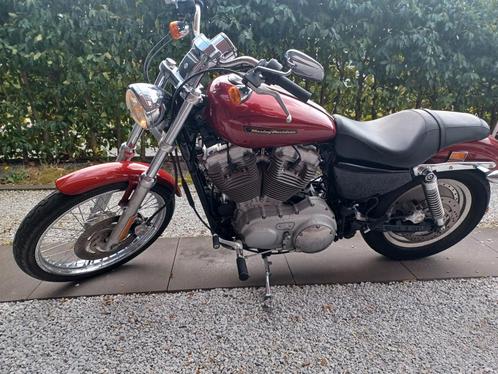 Harley Davidson  XL 883 Custom Sportster -2008 EFI model-, Motoren, Motoren | Harley-Davidson, Particulier, Chopper, meer dan 35 kW