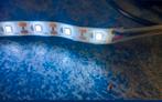 NIEUW LEDVERLICHTING 0,5M VOOR HET AQUARIUM, Ophalen, Nieuw, Leeg aquarium