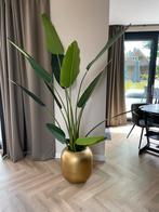 Nieuw! Kunstplant Strelitzia Nicolai 210cm!, Ophalen of Verzenden, Overige soorten, 200 cm of meer