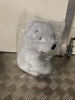 Kleine ijsbeer knuffel nieuw in verpakking, Ophalen of Verzenden, Nieuw, Overige typen