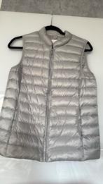 Bodywarmer dons maat 36 grijs, Verzenden, Zo goed als nieuw, Maat 36 (S), Grijs