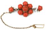 Bloedkoraal broche Holland 1900 mooie design gekeurd 14 krt, Ophalen, Goud, Broche