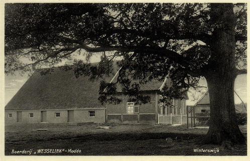 Boerderij Wesselink - Meddo - Winterswijk - ongelopen, Verzamelen, Ansichtkaarten | Nederland, Ongelopen, Gelderland, 1920 tot 1940