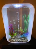 Biorb aquarium 45 liter incl accessoires, Dieren en Toebehoren, Ophalen, Gebruikt, Leeg aquarium