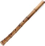 Shakuhachi of kyotaku gezocht, Ophalen of Verzenden, Gebruikt