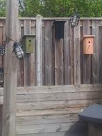 Vogelhuisje of nestkastje, 1 tot 2 meter, Minder dan 3 meter, Nieuw, Ophalen of Verzenden