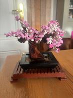 LEGO Botanical Bonsai Tree (10281) met doos!, Kinderen en Baby's, Speelgoed | Duplo en Lego, Ophalen of Verzenden, Zo goed als nieuw