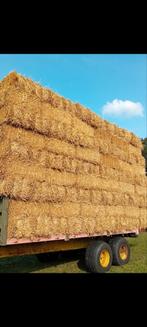 Stro tarwe, Dieren en Toebehoren, Dierenvoeding, Ophalen, Vee