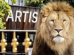 12 x Artis e-tickets te koop - snel geleverd!🐒🐒 beschikbaar voor biedingen