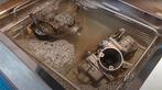 carburateur ultrasoon reinigen - ultrasonic cleaning, Auto diversen, Ophalen