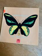 Bee Gees - Rare, Precious & Beautiful, Ophalen of Verzenden, 1960 tot 1980, 12 inch